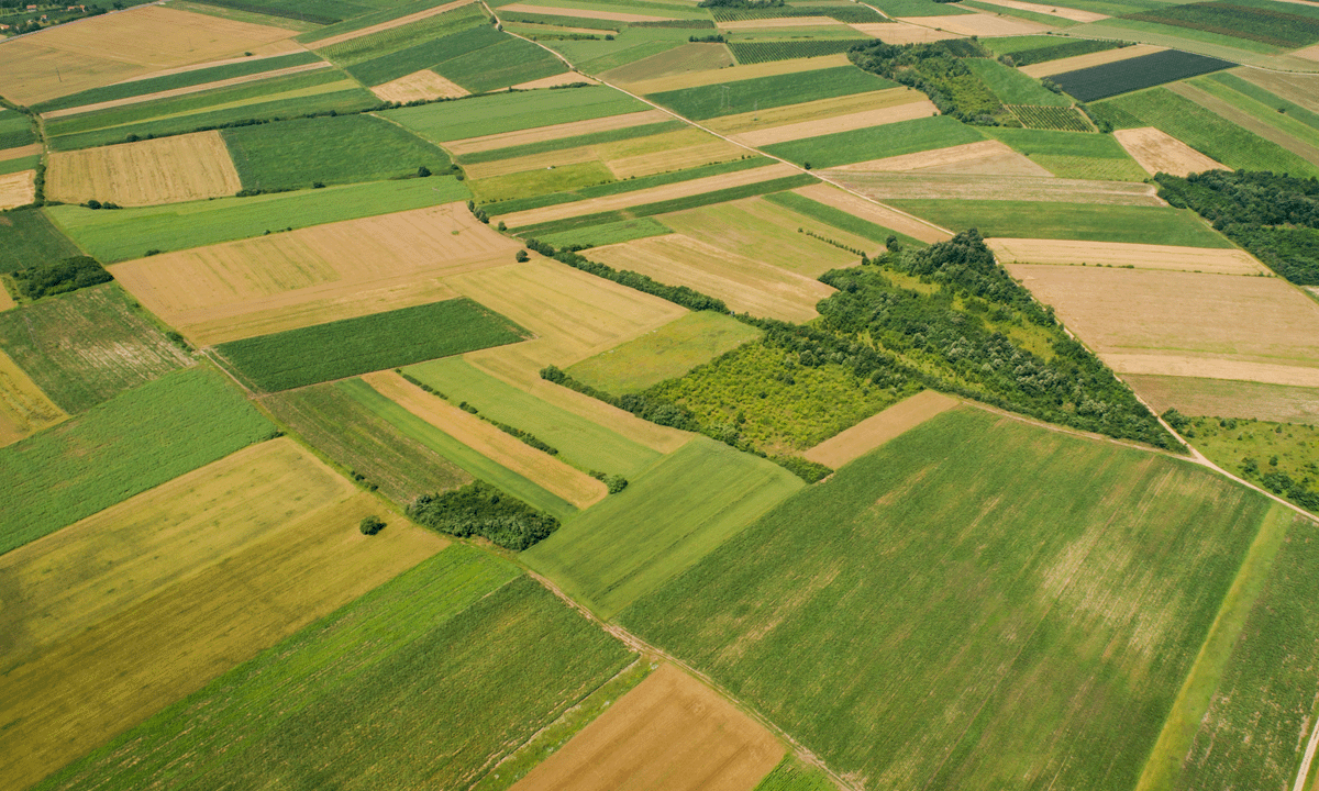 Aerial view of farm landscape